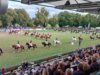 Foto vom Album: Hengstparade 2023