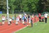 Foto vom Album: Brandenburgische Mehrkampfmeisterschaften u12u14