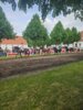Foto vom Album: Fohlenfrühling 2024