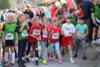 Foto vom Album: 36. Lauf um die Kreckwitzer Höhen 2024 - Zielareal