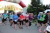 Foto vom Album: 36. Lauf um die Kreckwitzer Höhen 2024 - Zielareal