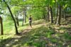 Foto vom Album: 36. Lauf um die Kreckwitzer Höhen 2024 - Streckenbilder