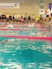 Foto vom Album: 2024 HHSV/SHSV Masters Meisterschaft Schwimmen