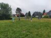 Foto vom Album: Kindertag am 27.05.2024