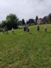 Foto vom Album: Kindertag am 27.05.2024