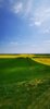Foto vom Album: Mühlenberg