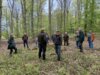 Foto vom Album: Waldbegehung 2024