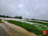 Foto vom Album: Hochwasser 2024