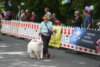 Foto vom Album: 9. Sternenlauf in Seester