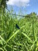 Fotoalbum