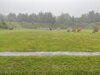 Foto vom Album: 2024 - KM Nord-Ost Bogen