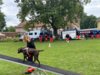 Foto vom Album: Wittstocker Stadtfest 2024