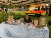 Foto vom Album: Wittstocker Stadtfest 2024