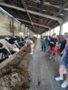 Foto vom Album: Radtour zur Agrargenossenschaft Netzow e.G.