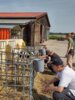Foto vom Album: Radtour zur Agrargenossenschaft Netzow e.G.
