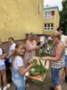 Foto vom Album: Bunter Präsentationstag an der Elbtalgrundschule