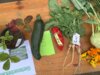 Foto vom Album: Bunter Präsentationstag an der Elbtalgrundschule