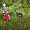 Foto vom Album: Sommerturnier 2024