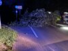 Foto vom Album: Einsatz 31.07.2024