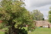 Fotoalbum
