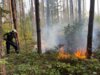 Foto vom Album: Waldbrand nördlich Spitzgrundteich