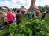 Foto vom Album: Führung durch Gardelegen mit Kräuterfrau Maria Hellge