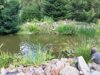 Foto vom Album: Ipse Dorf