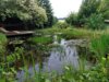 Foto vom Album: Landschaftsgarten Heidenreich