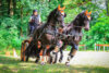 Imposante Tiere