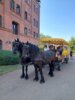 Foto vom Album: Kennenlerntage Schuhljahr 2024/25
