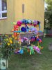Foto vom Album: Einschulung 31.08.2024