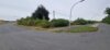 Foto vom Album: Word CleanUp Day 2024