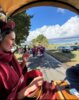 Foto vom Album: Einheitsfest Biesen