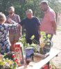 Foto vom Album: Pflanzentausch in Jabel
