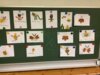 Foto vom Album: Tag des Biosspären-Schulen