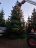 Foto vom Album: Weihnachtsbaum am Klostervorplatz