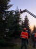 Foto vom Album: Aufstellen des Weihnachtsbaumes am Klostervorplatz