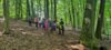 Foto vom Album: Sommerferienprogramm: NatureQuest