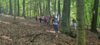 Foto vom Album: Sommerferienprogramm: NatureQuest