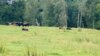 Foto vom Album: Sommerferienprogramm: NatureQuest