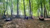 Foto vom Album: Sommerferienprogramm: NatureQuest