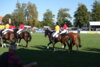 Foto vom Album: Hengstparade 2024