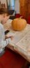 Foto vom Album: Happy Halloween 2024
