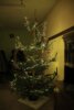 Foto vom Album: Seniorenweihnachtsfeier