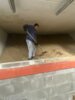 Foto vom Album: Arbeitseinsatz Granit 4-5-6-7