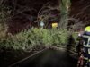 Foto vom Album: Einsatz 06.01.2025