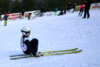 Foto vom Album: 2025-02-16 Märkischer Wintersporttag