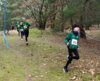 Foto vom Album: 2.Lauf Crosslaufserie 2025