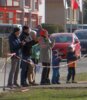 Foto vom Album: 3.crosslauf_2025