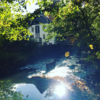Foto vom Album: Galerie